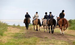 Group of riders at the North Sea