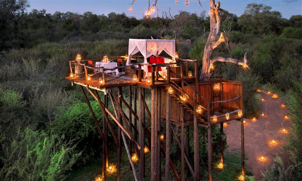 Chalkley Treehouse | Safaris in South Africa